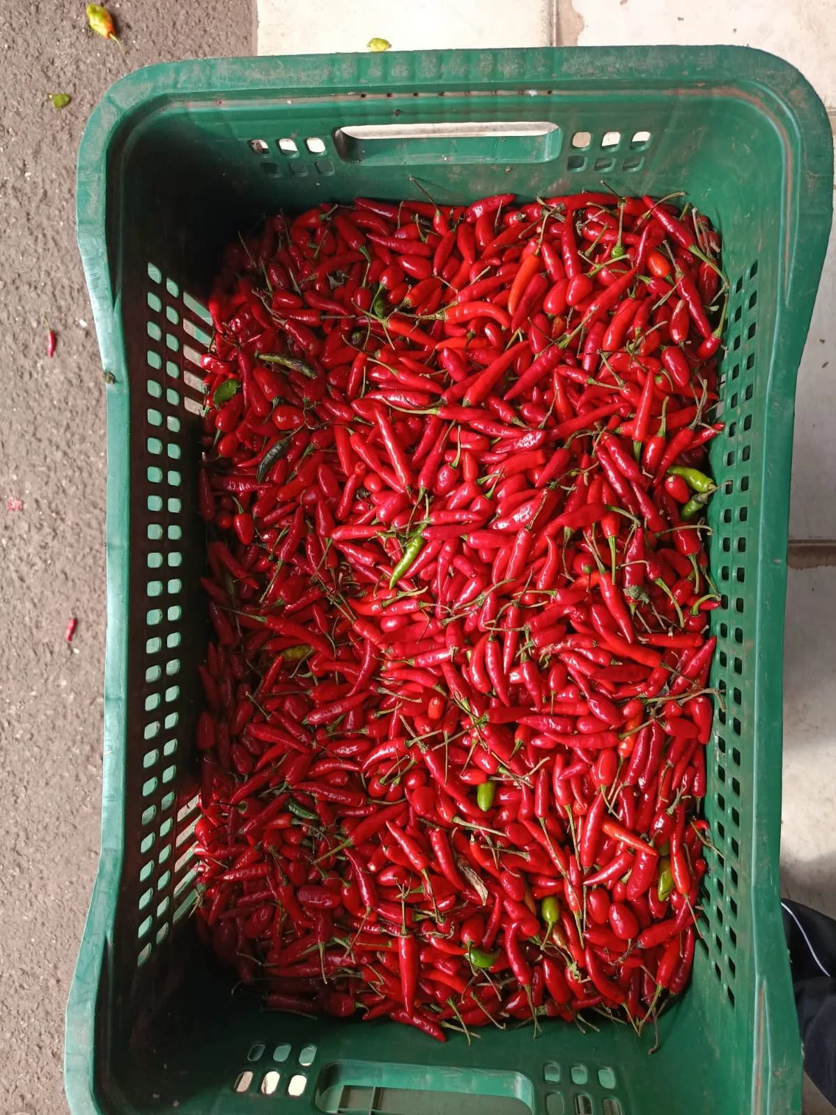 Produtos ATIVA